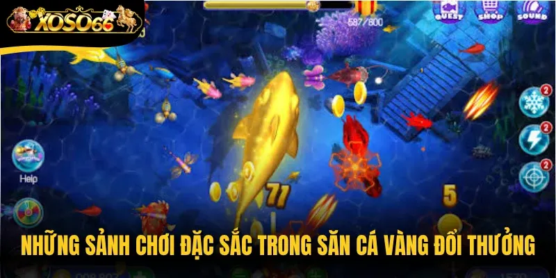 Những sảnh chơi đặc sắc trong săn cá vàng đổi thưởng