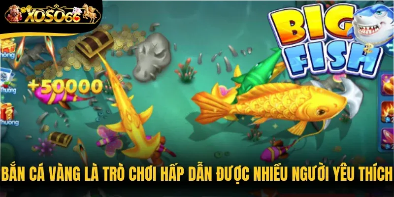 Bắn cá vàng là trò chơi hấp dẫn được nhiều người yêu thích