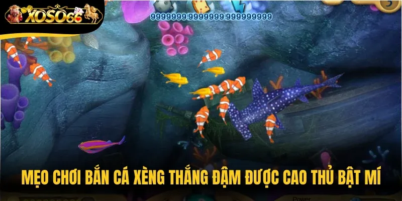 Mẹo chơi bắn cá Xèng thắng đậm được cao thủ bật mí