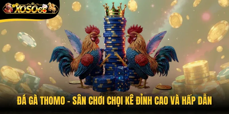 Đá Gà Thomo
