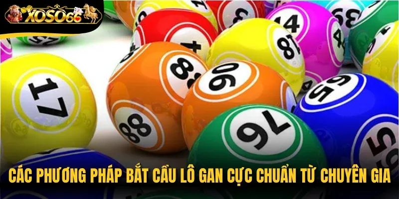 Các phương pháp bắt cầu lô gan cực chuẩn từ chuyên gia
