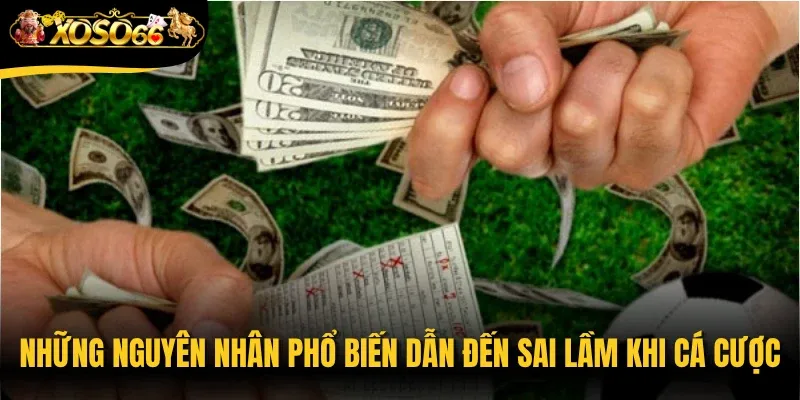 Những nguyên nhân phổ biến dẫn đến sai lầm khi cá cược