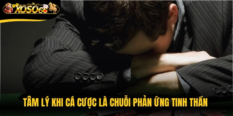 Tâm lý khi cá cược là chuỗi phản ứng tinh thần diễn ra suốt quá trình chơi
