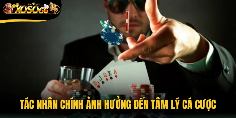 Tác nhân chính ảnh hưởng đến tâm lý cá cược