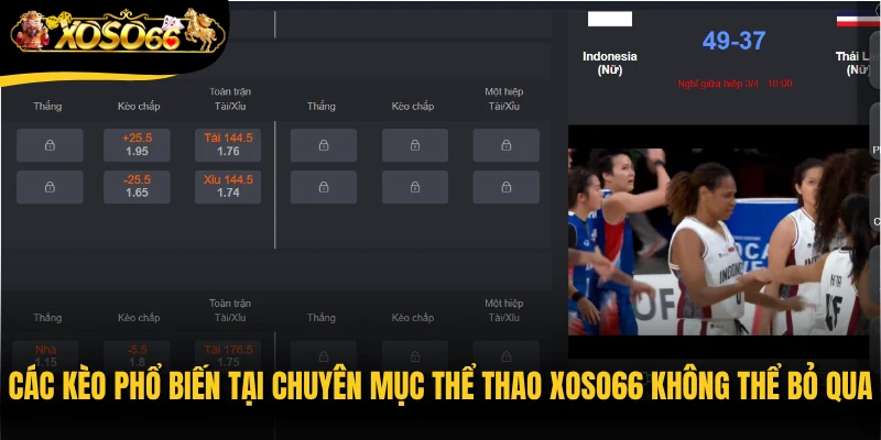 Các kèo phổ biến tại chuyên mục thể thao Xoso66 không thể bỏ qua