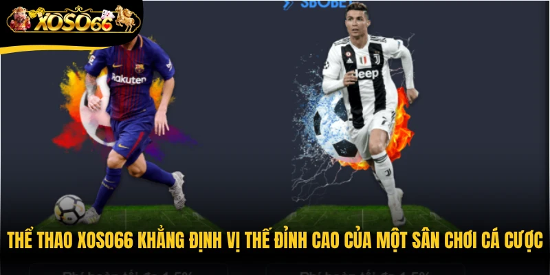 Thể thao Xoso66 khẳng định vị thế đỉnh cao của một sân chơi cá cược hàng đầu